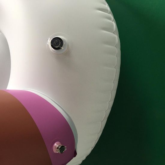 seahorse floatie