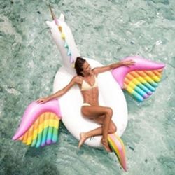 Lovely Giant toy with Inflatable Float Pegasus float with color wing