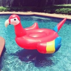 Colorful Bird toy Inflatable Red Parrot Raft float for Outdoor Sport